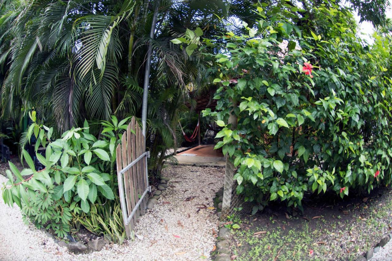 Отель Disfrutalo Playa Santa Teresa  Экстерьер фото